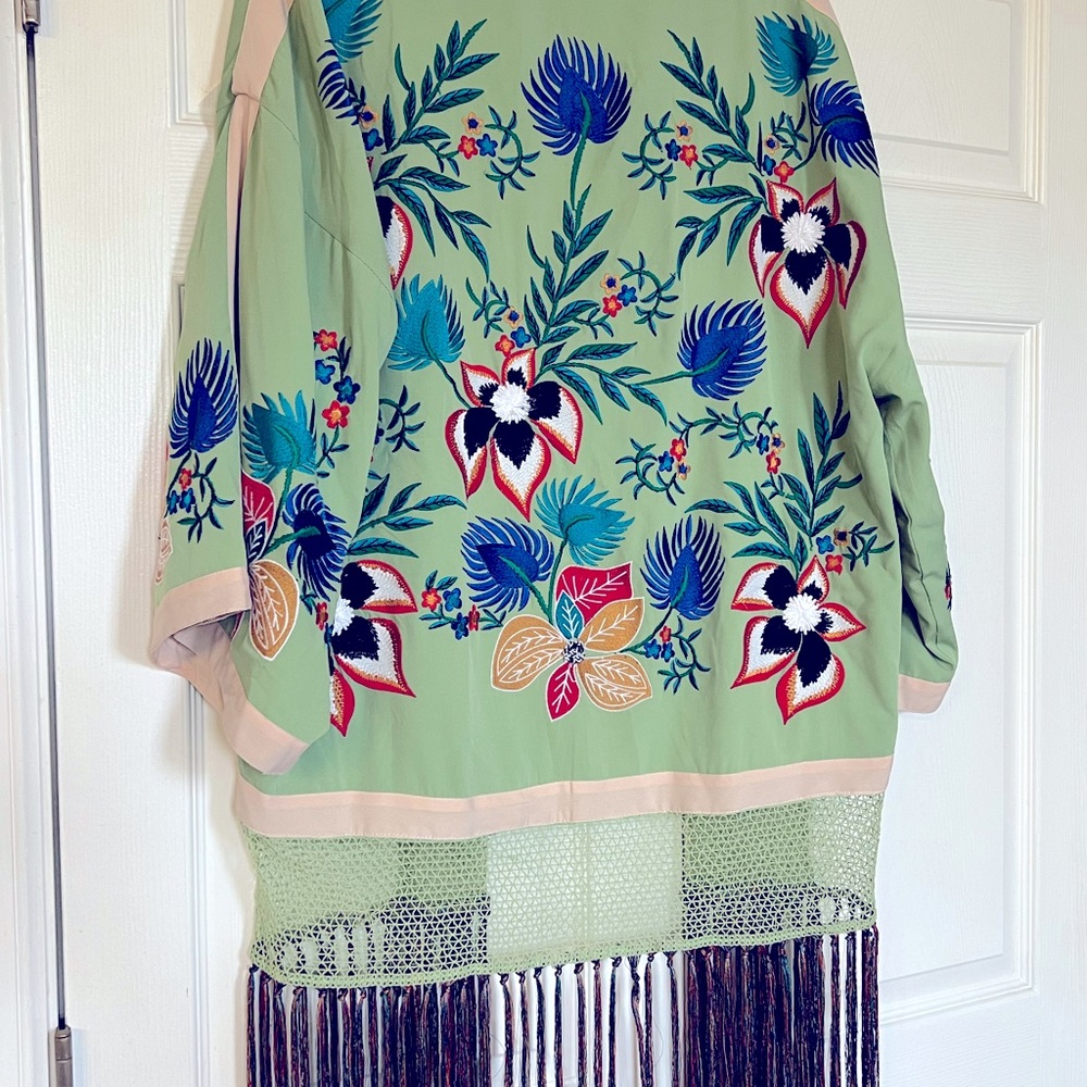 Zara Embroidered Fringe Kimono - Picture 11 of 14